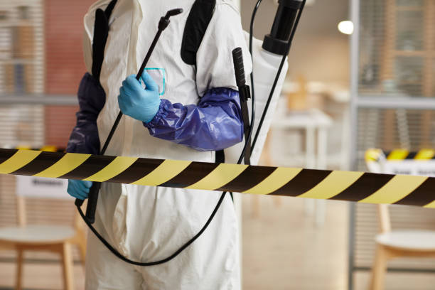 Professional Blood Cleanup technician working in Alamo, TX